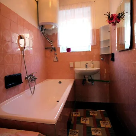 Vanda 诺维·维诺多尔斯基