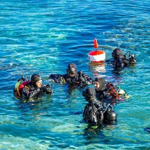 Apartment Vanda Novi Vinodolski